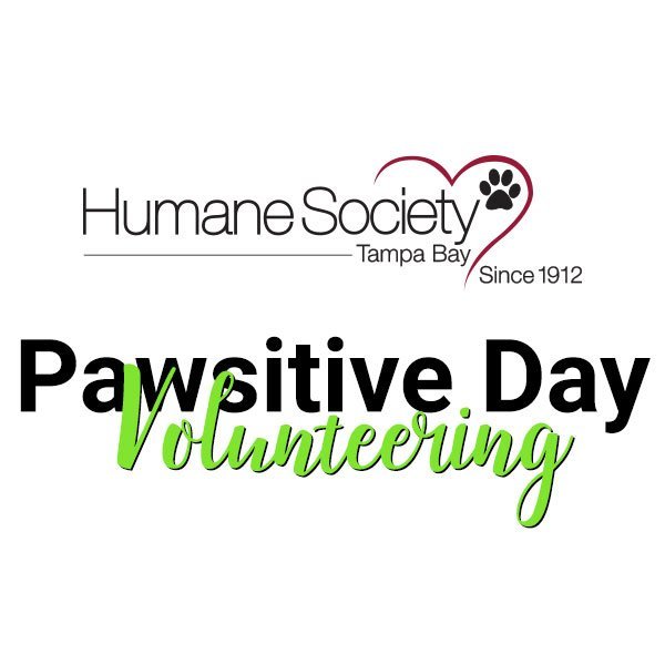 RHINO Abogados Voluntarios: Un día con patas en la Humane Society de Tampa Bay